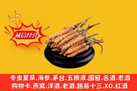 黄石名酒回收冬虫夏草.jpg